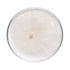 Beech Mushroom Plate Culture